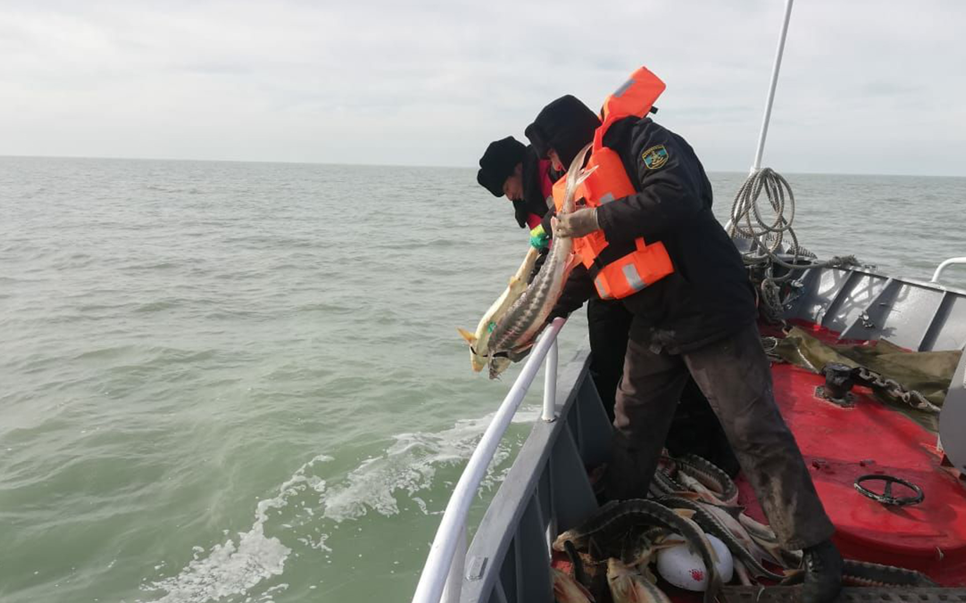 «بەكىرە» اكتسياسى مەملەكەتكە 9 ملرد تەڭگە زالال كەلتىرۋدىڭ الدىن الدى