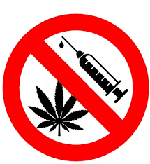 قوستاناي وبلىسىندا «دارمەك» جەدەل الدىن الۋ شاراسى ءوتتى