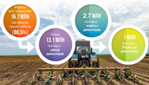 ناۋقان ەندى اياقتالادى