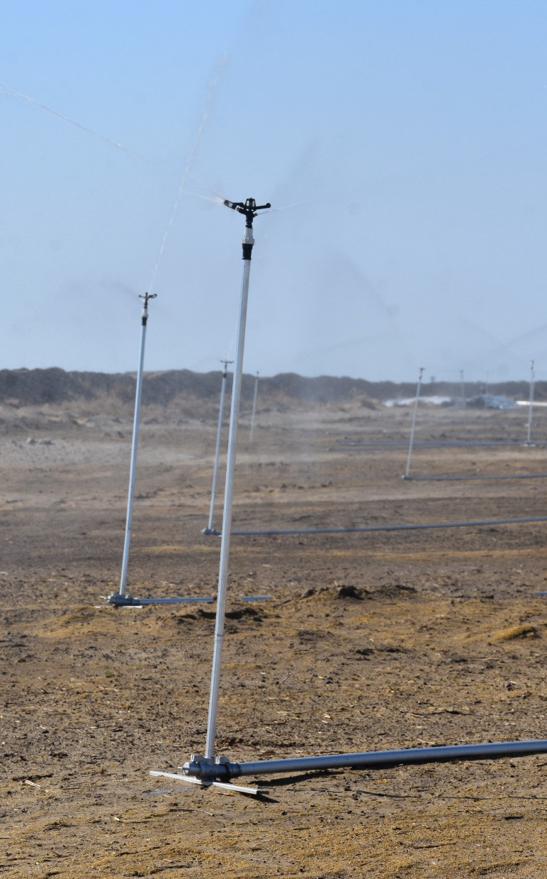 قازالىدا جاڭبىرلاتىپ سۋارۋ ادىسىمەن جۇگەرى ەگىلۋدە