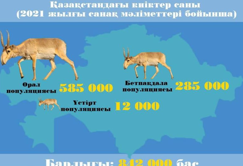 كيىك سانى 800 مىڭنان استى