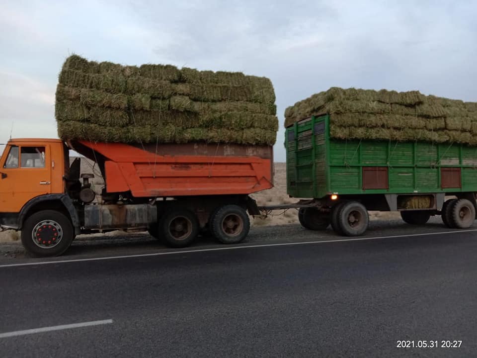 ارالداعى شارۋاشىلىقتارعا جەم-ءشوپ جەتكىزىلۋدە