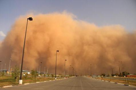 شاڭدى داۋىل شاتىر شايقادى