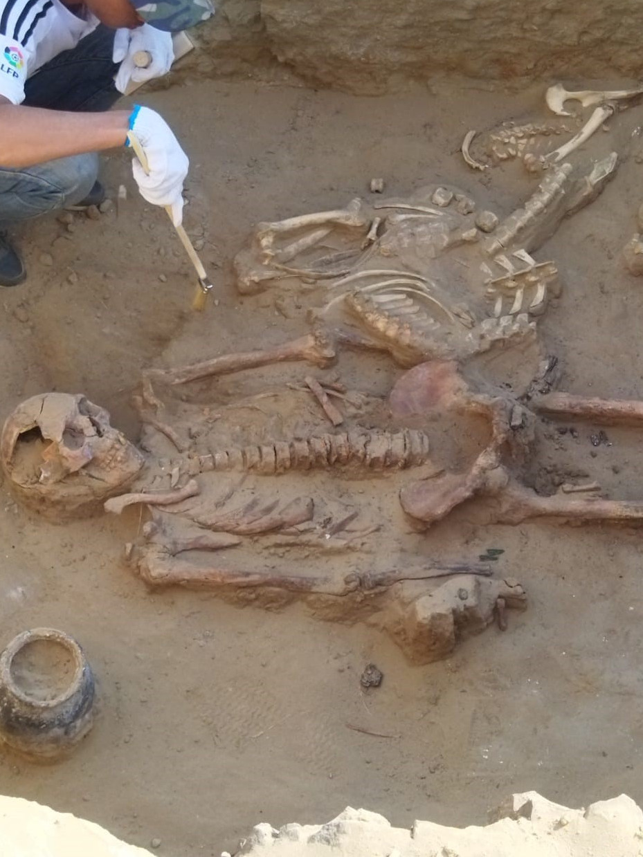 سارمات جاۋىنگەرلەرىنىڭ سۇيەگى