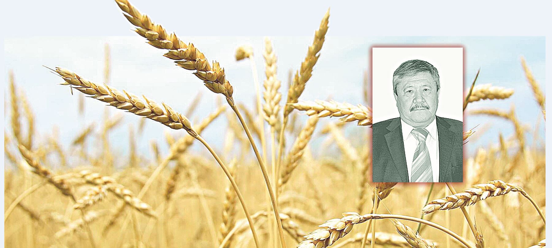 باقىتجاننىڭ بيدايى