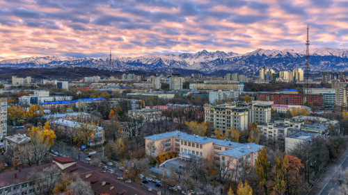 الماتىنىڭ دەنساۋلىق ساقتاۋ جۇيەسىن تسيفرلاندىرۋ كوروناۆيرۋسپەن كۇرەسۋگە سەپتەسەدى