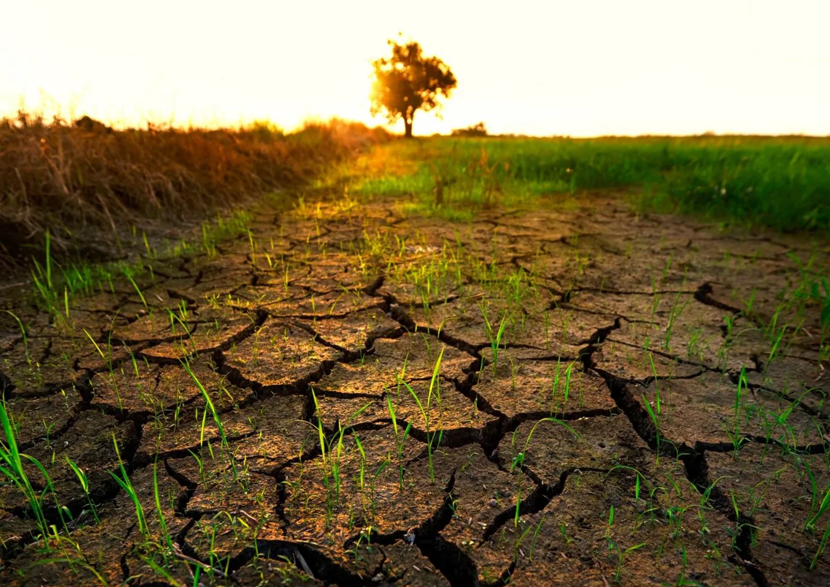 قۋاڭشىلىق قىسپاعىندا قالمايىق