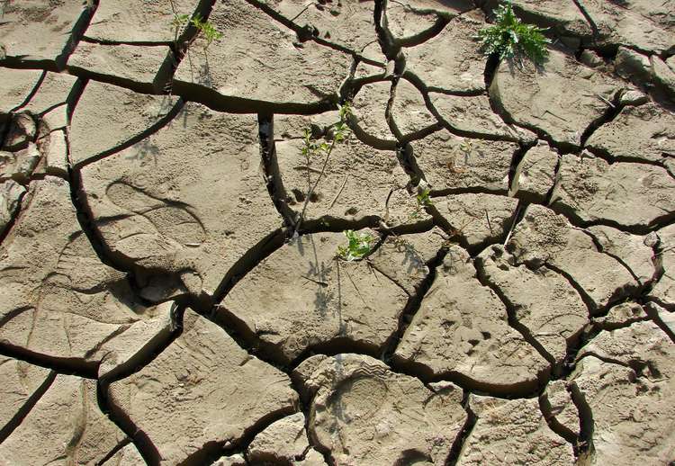 قۋاڭشىلىق الەمدى الاڭداتۋدا