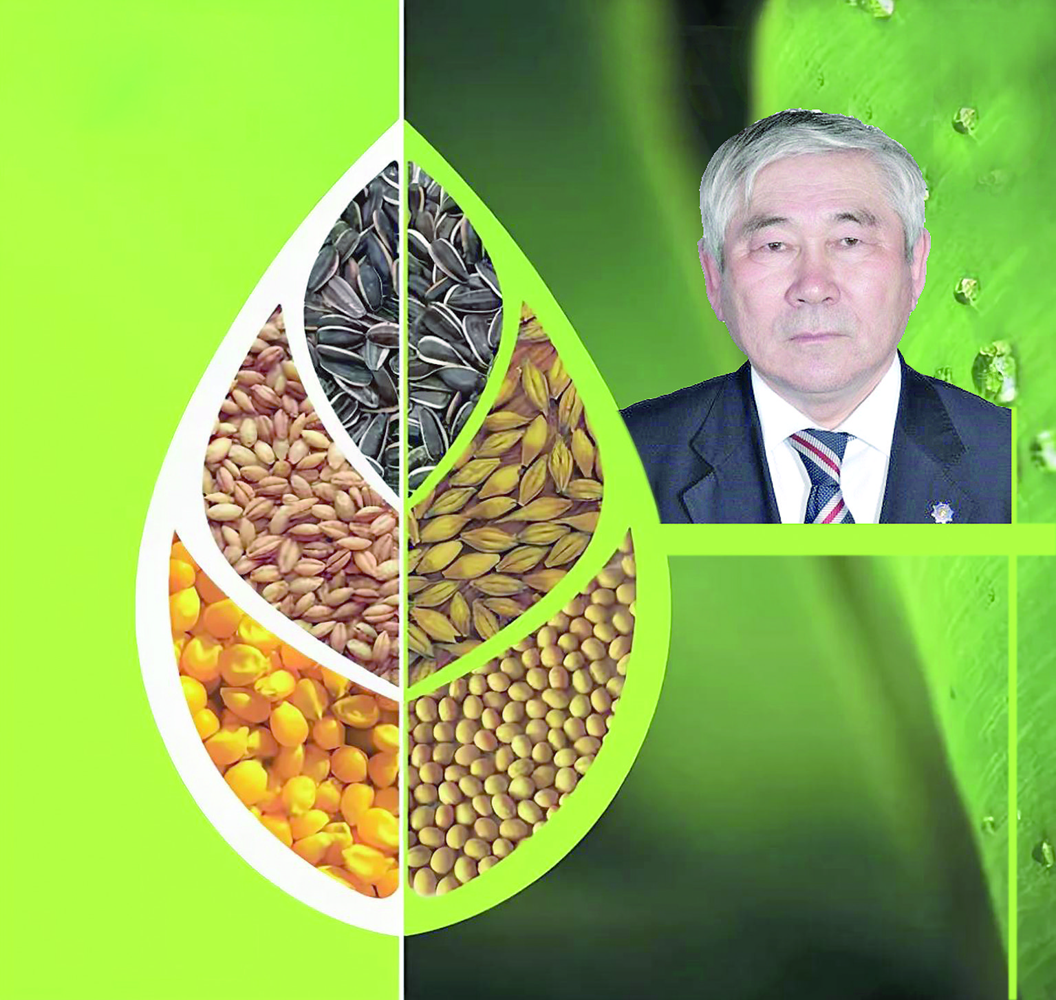 عىلىمنىڭ قيا جولىندا