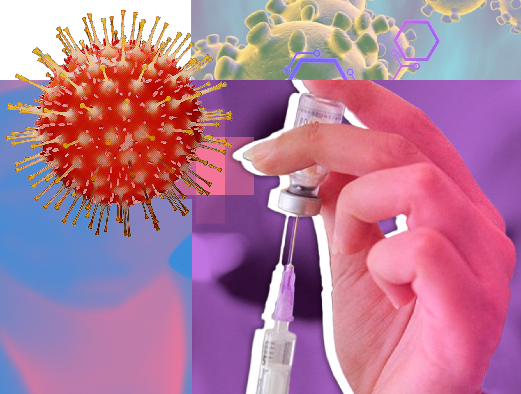 ارتىقشىلىققا كىمدەر يە بولادى؟