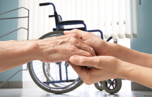 جاڭا زاڭ جوباسى قامكوڭىل جانداردىڭ تالابىن قاناعاتتاندىرا ما؟