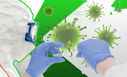 «جاسىل ايماق» جاسىل جايلاۋ ەمەس