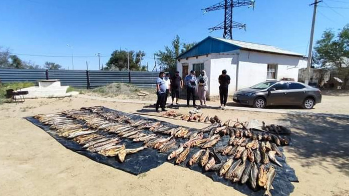 اتىراۋ وبلىسىنىڭ تۇرعىنى 576 كەلى بەكىرەمەن ۇستالدى