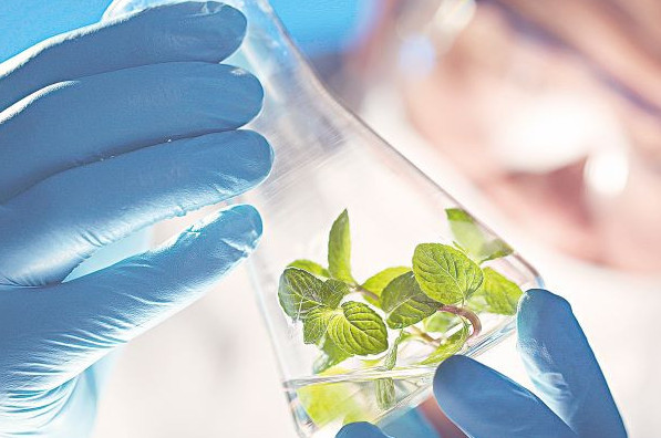 بيووتىن الۋدىڭ تىڭ ءتاسىلى