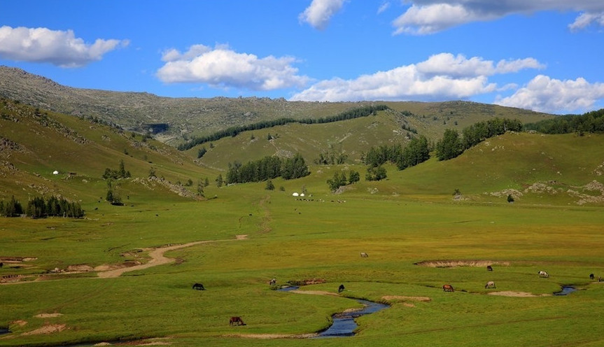 وزەكتى ماسەلەلەر شەشىلدى