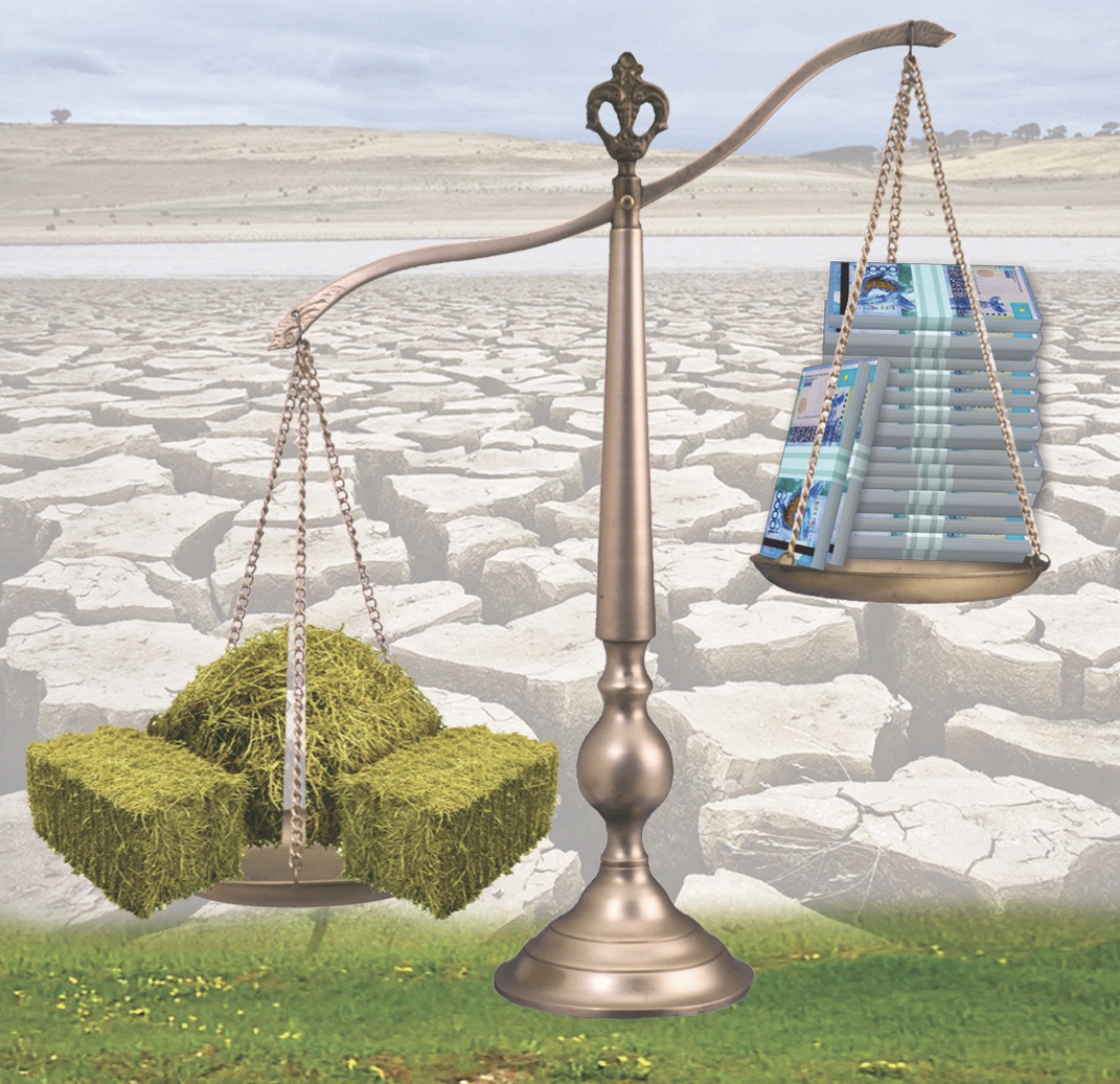 مال ازىعىن دايىنداۋ ماڭىزدى