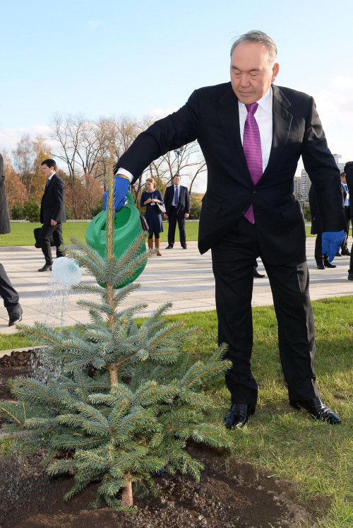 جانعا سايا جاسىل بەلدەۋ