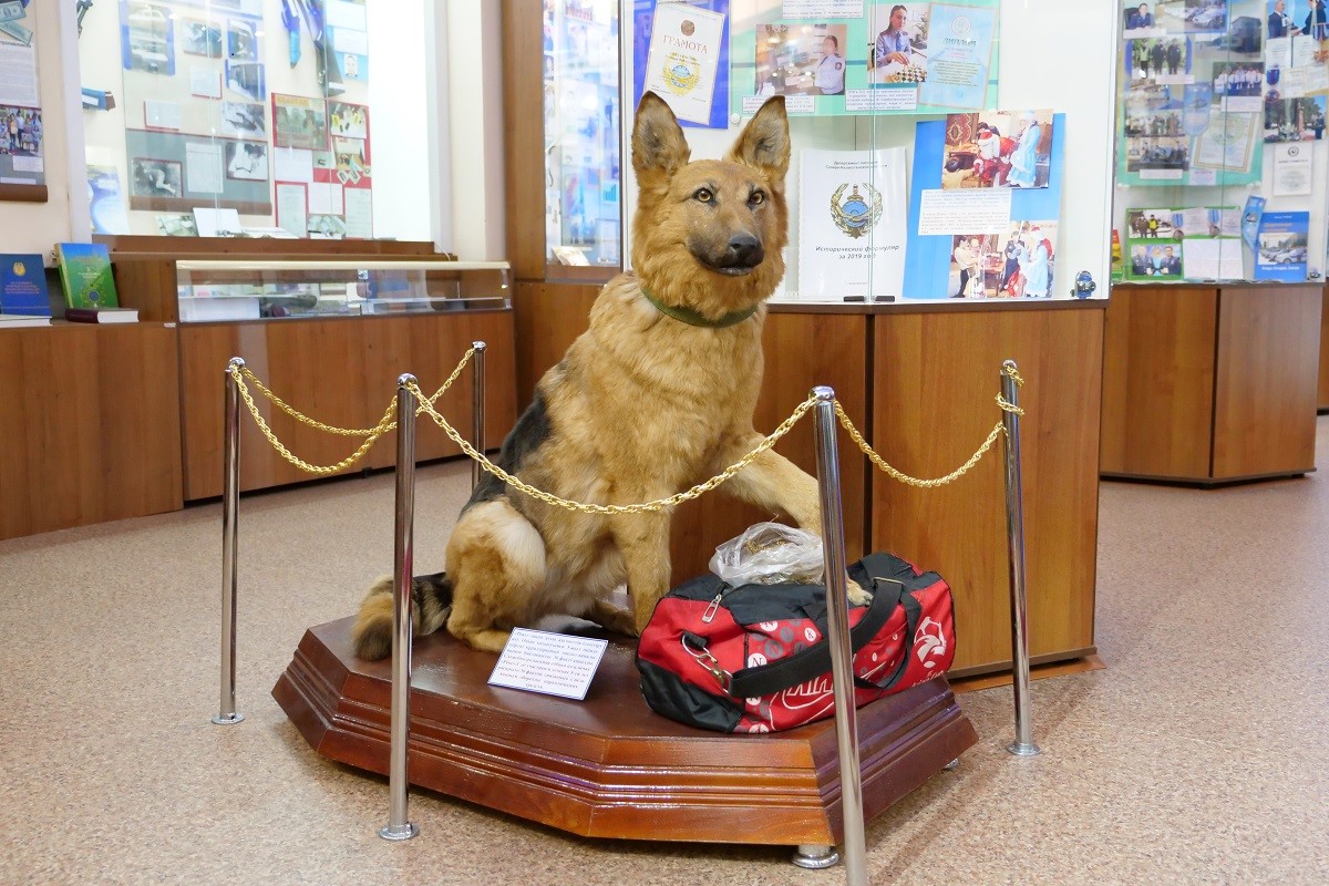 پوليتسيا تاريحىنىڭ مۋزەيى