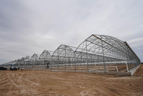 جايىق جاعاسىنداعى جىلىجاي