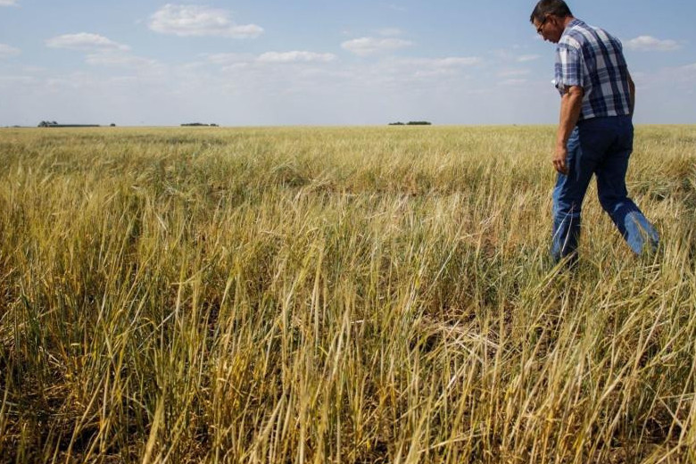 قۋاڭشىلىقتىڭ اياعى مولشىلىققا ۇلاسار