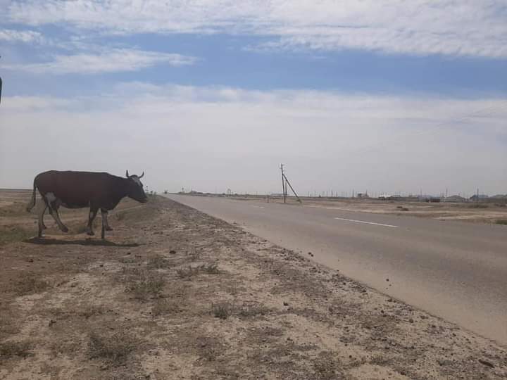 اتىراۋ وبلىسىندا جول بويىنا ماكەتتەر قويىلدى