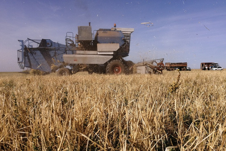 بيىلعى مەجە –  1,5 جىلدىق قور جيناۋ