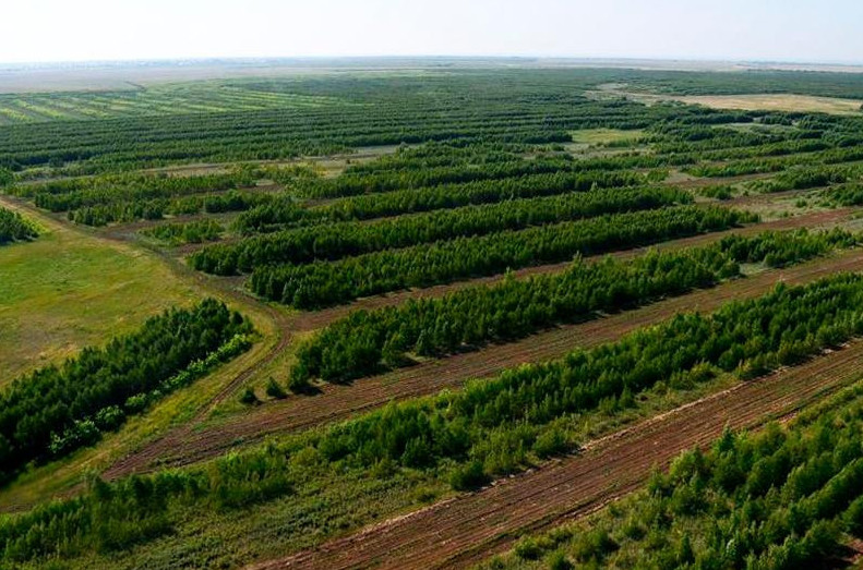 ميلليارد اعاشتى قاداعالايتىن كارتا