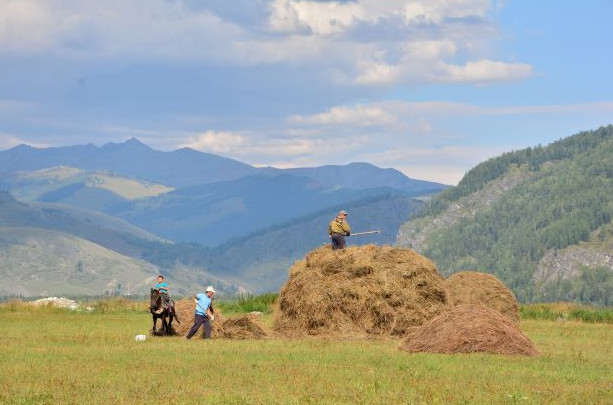 شىعىستا ءشوپ سۇيىق