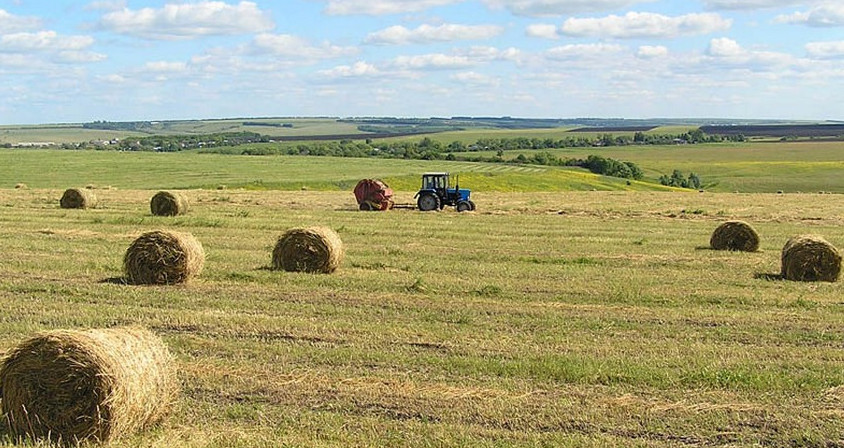 جەمشوپ وندىرۋگە جەتە ءمان بەرۋ قاجەت