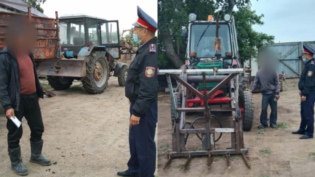 پاۆلودار وبلىسىندا 84 جۇرگىزۋشى جاۋاپقا تارتىلدى