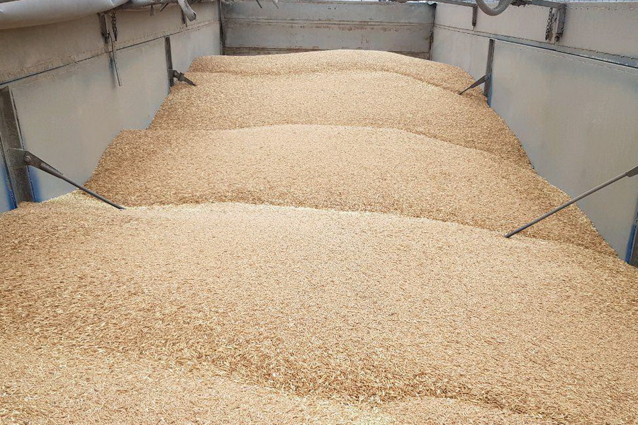 ەكسپورتتاۋعا تىيىم سالىنعان تاۋارلار ءتىزىمى جاريالاندى