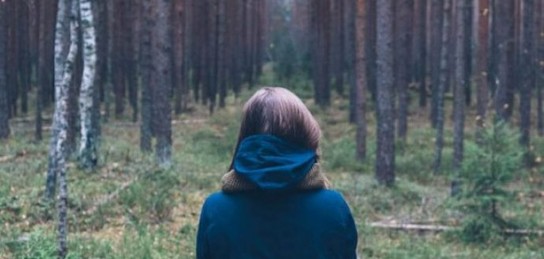 شقو-دا ورماندا قالعان جولاۋشىلار قۇتقارىلدى