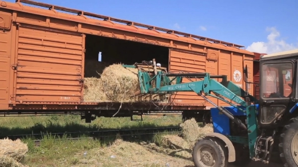 پاۆلودارلىقتار ماڭعىستاۋعا گۋمانيتارلىق كومەك جىبەردى