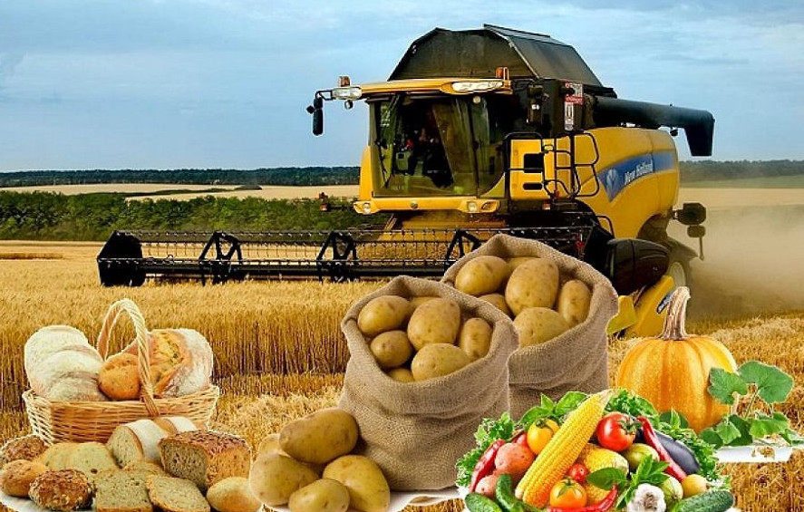 اگروونەركاسىپ كەشەنى: ينۆەستيتسيا الەۋەتى