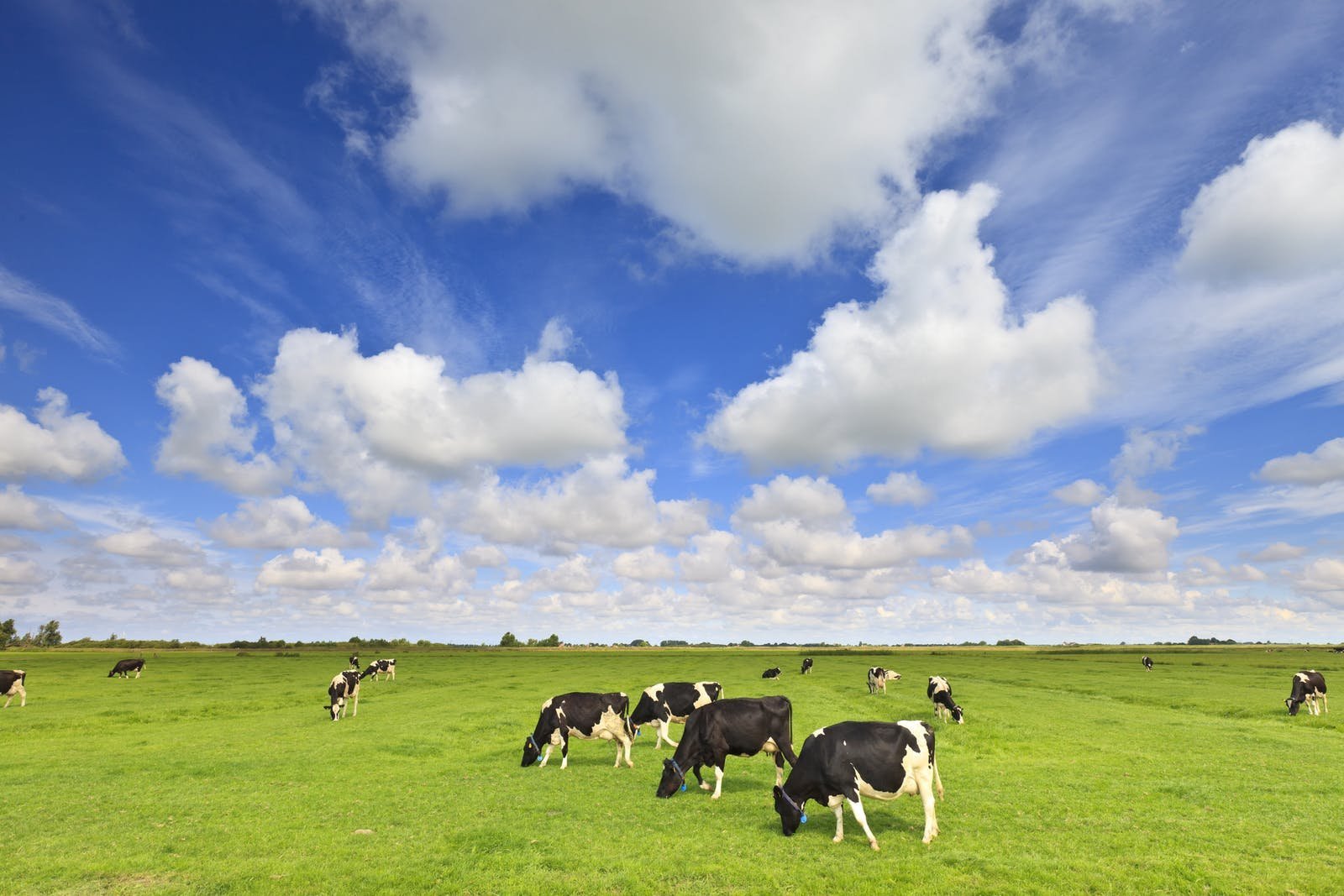 جايىلىمى جوق اۋىلدىڭ جايى مۇشكىل