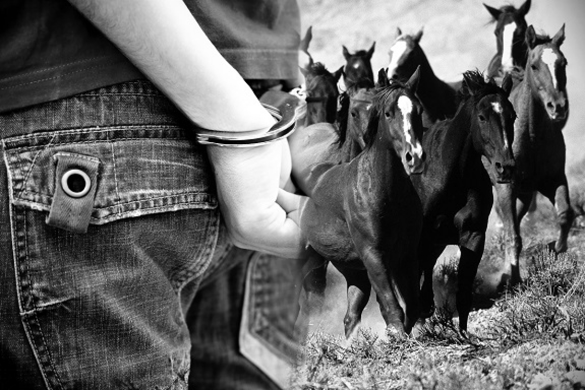 مال ۇرلىعى مازانى الىپ تۇر