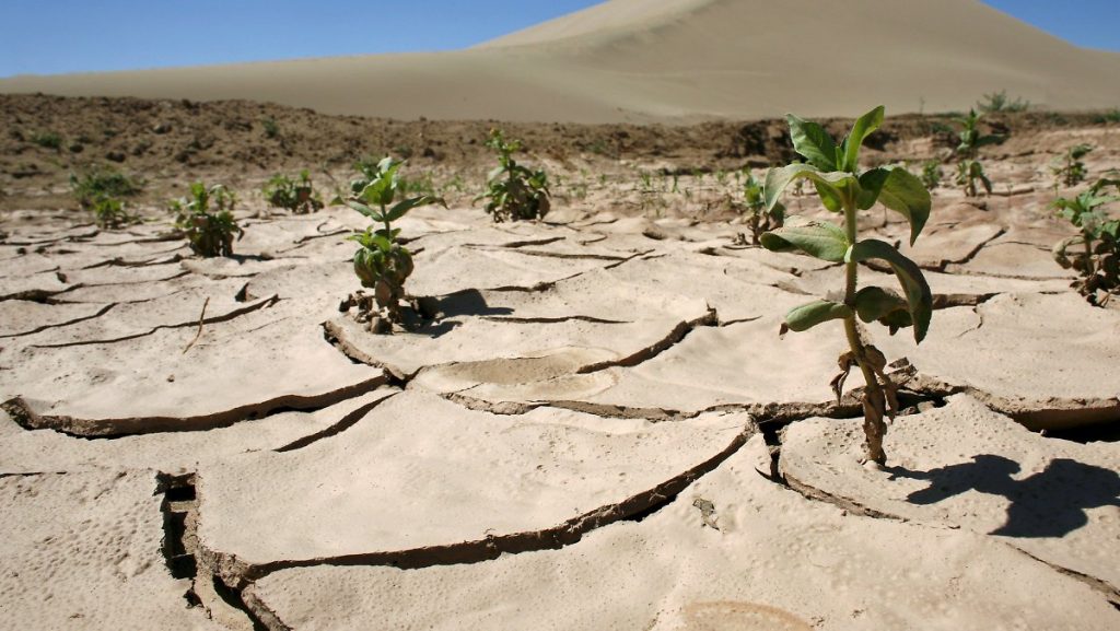 فەرمەرلەرگە قۋاڭشىلىقتان ساقتاندىرۋ تولەمدەرى بەرىلىپ جاتىر - اشم