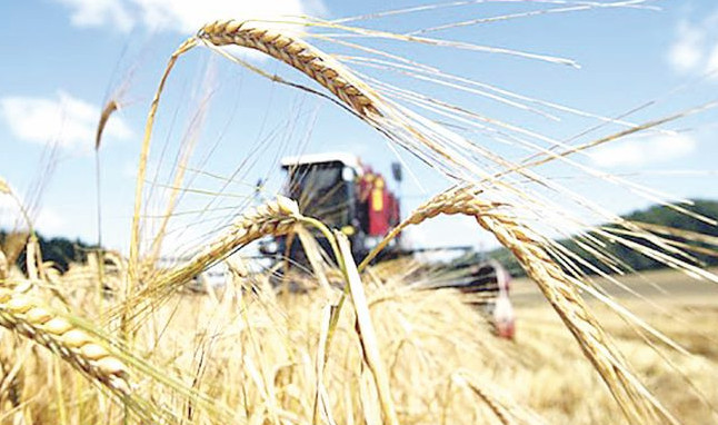 نەسيە مەرزىمى شەگەرىلەدى