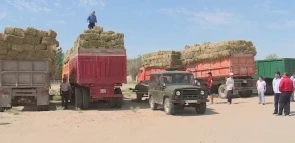 مال شارۋاشىلىعىنا قولداۋ كورسەتۋدە