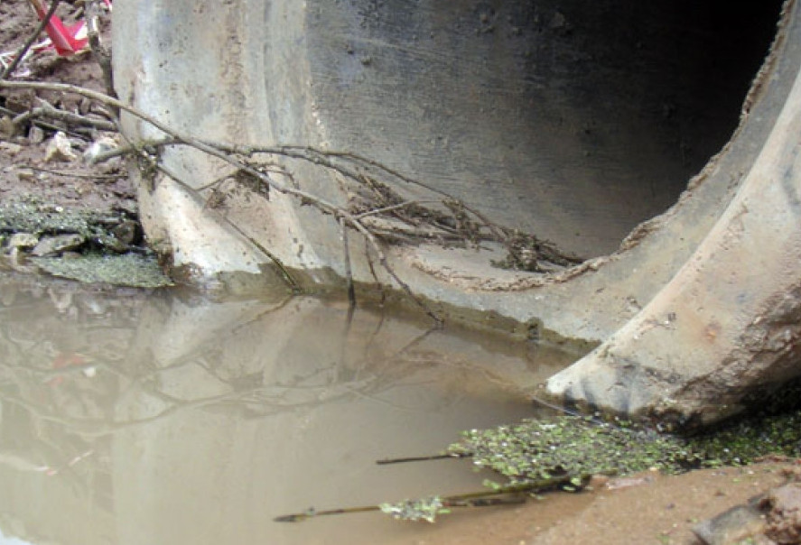 قۇمعا تولعان كانالدار