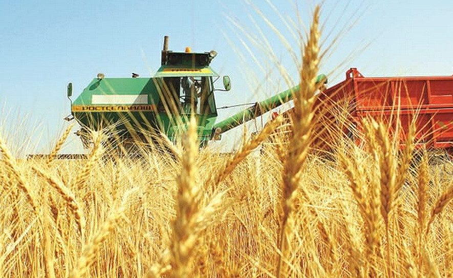 استىقتى ولكەدەگى احۋال