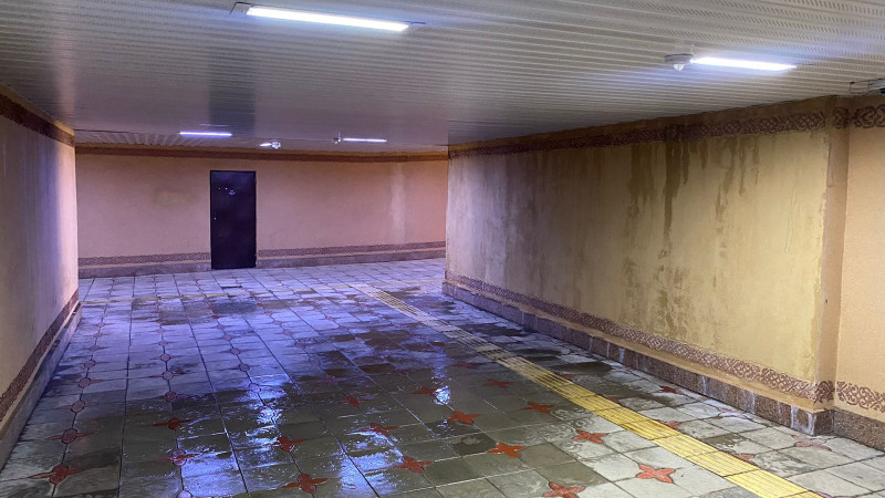 الماتىدا جەراستى جاياۋ جۇرگىنشىلەر وتكەلىن سۋ باسىپ قالدى