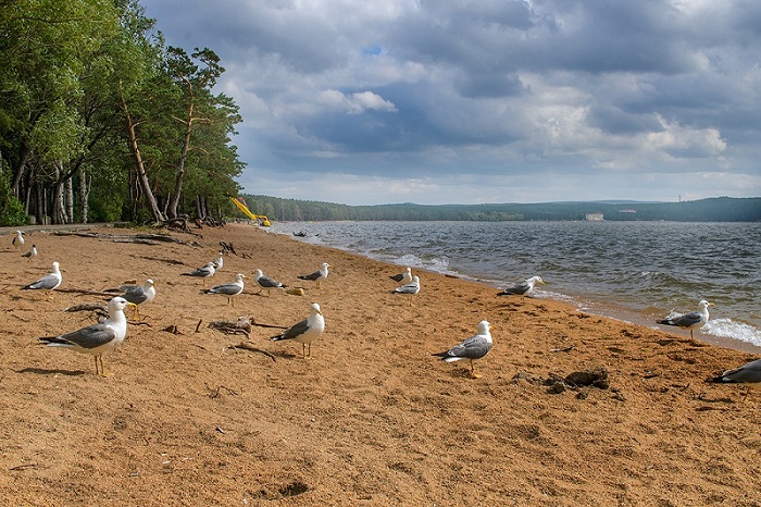 ايناكول «قارتايدى», ايدىنىنان ءار تايدى
