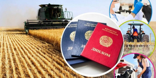 جاس مامانداردى قولداۋ جالعاسۋدا