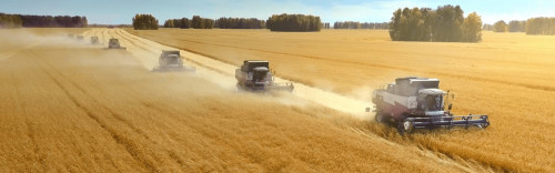 تەحنيكا پاركىن جاڭارتۋعا ۇلەس