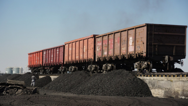 ەلوردادا كومىر قورى قۇرىلدى