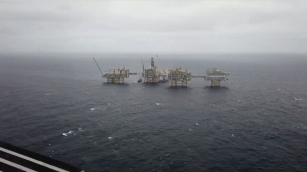 الەمدىك مۇناي باعاسى كۇرت ءوستى