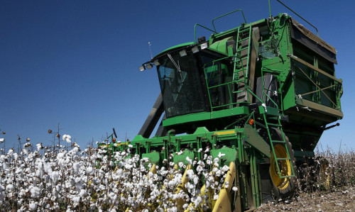 جيىن-تەرىن جالعاسۋدا