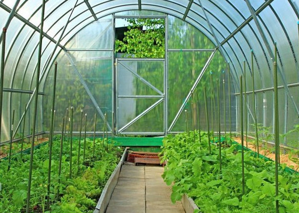 باسەكەلەستىك باعاعا ىقپال ەتەدى