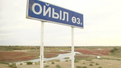 زاڭسىز بوگەتتىڭ زاردابى